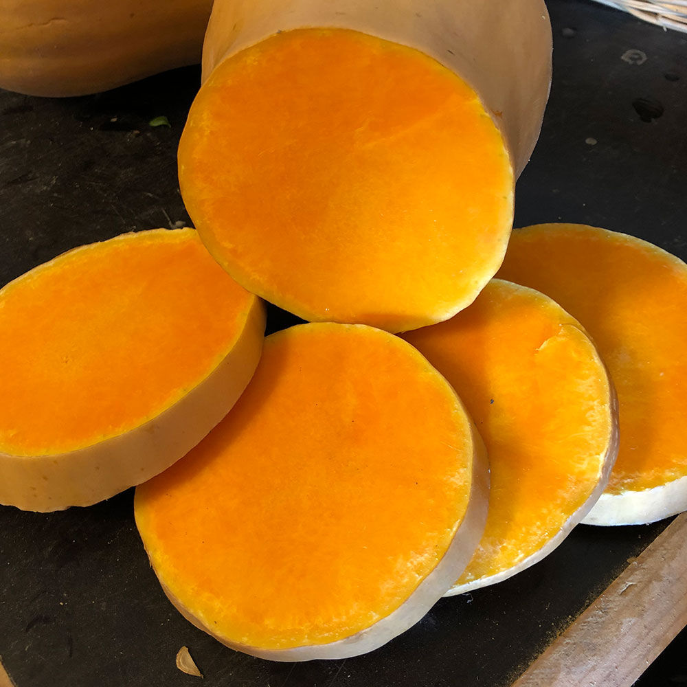 Courges (butternut, potimarrons…)